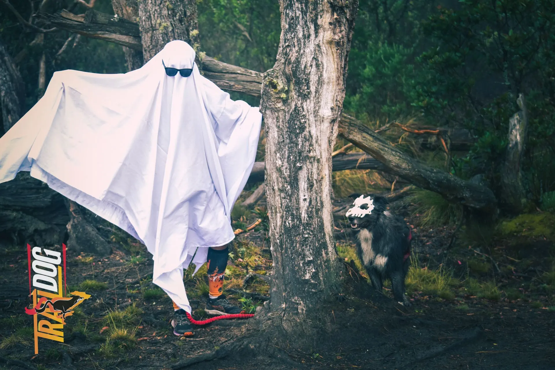 Una persona disfrazada de fantasma con gafas oscuras en el bosque y un perro con máscara de calavera detrás de un árbol